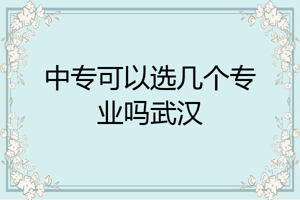 中专可以选几个专业吗武汉