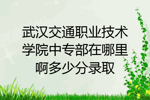 武汉交通职业技术学院中专部在哪里啊多少分录取
