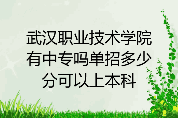 武汉职业技术学院有中专吗单招多少分可以上本科