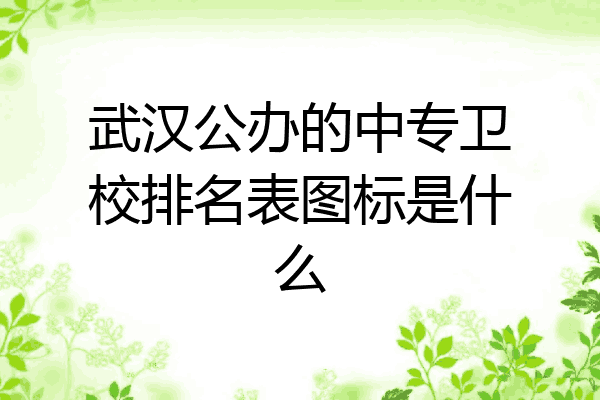 武汉公办的中专卫校排名表图标是什么