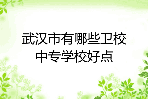武汉市有哪些卫校中专学校好点