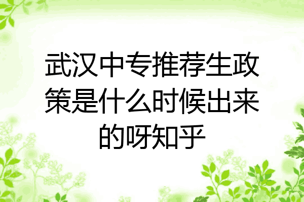 武汉中专推荐生政策是什么时候出来的呀知乎