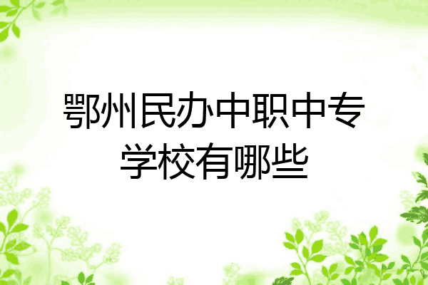 鄂州民办中职中专学校有哪些