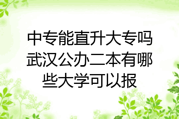 中专能直升大专吗武汉公办二本有哪些大学可以报