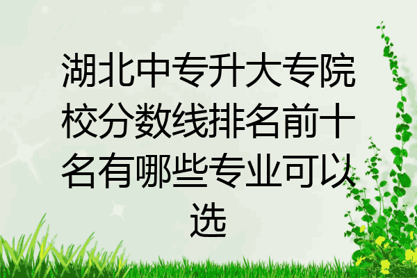 湖北中专升大专院校分数线排名前十名有哪些专业可以选