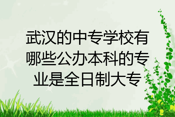 武汉的中专学校有哪些公办本科的专业是全日制大专