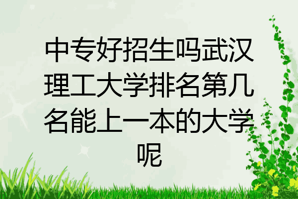 中专好招生吗武汉理工大学排名第几名能上一本的大学呢