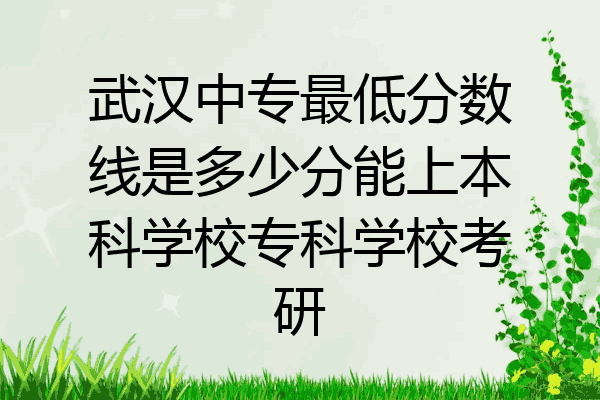 武汉中专最低分数线是多少分能上本科学校专科学校考研