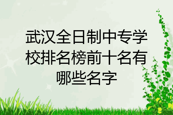 武汉全日制中专学校排名榜前十名有哪些名字