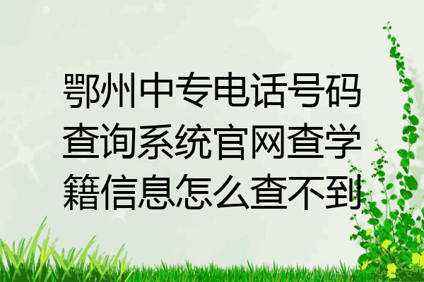 鄂州中专电话号码查询系统官网查学籍信息怎么查不到