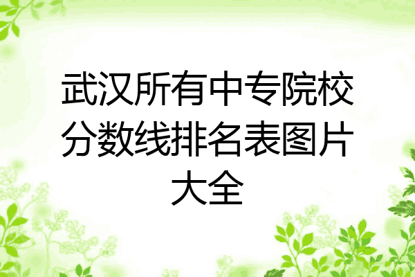 武汉所有中专院校分数线排名表图片大全