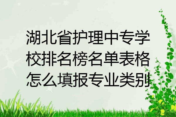 湖北省护理中专学校排名榜名单表格怎么填报专业类别