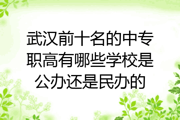 武汉前十名的中专职高有哪些学校是公办还是民办的