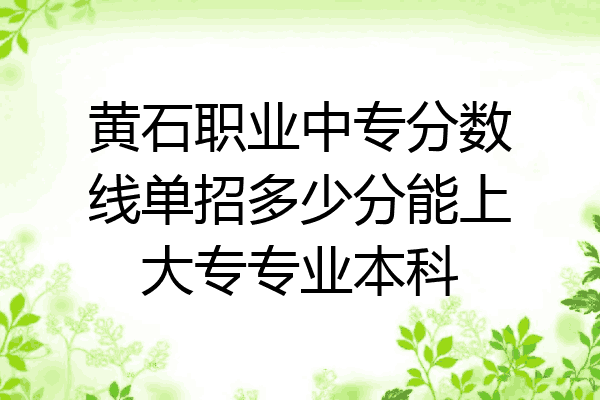 黄石职业中专分数线单招多少分能上大专专业本科