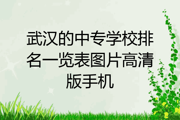 武汉的中专学校排名一览表图片高清版手机