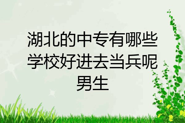 湖北的中专有哪些学校好进去当兵呢男生