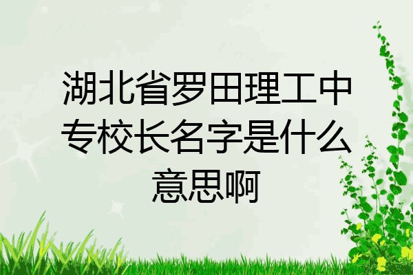 湖北省罗田理工中专校长名字是什么意思啊