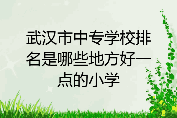 武汉市中专学校排名是哪些地方好一点的小学
