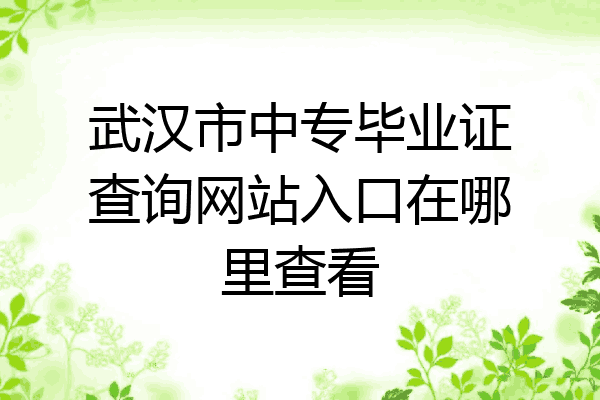 武汉市中专毕业证查询网站入口在哪里查看