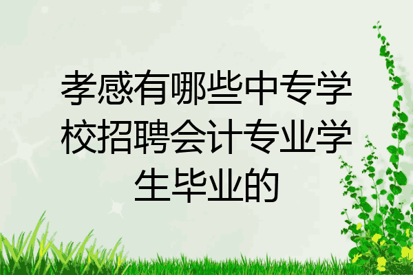 孝感有哪些中专学校招聘会计专业学生毕业的