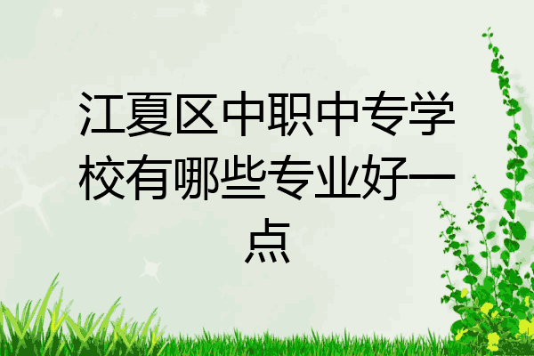 江夏区中职中专学校有哪些专业好一点