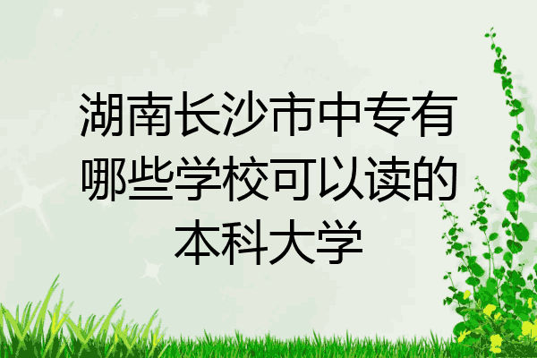 湖南长沙市中专有哪些学校可以读的本科大学