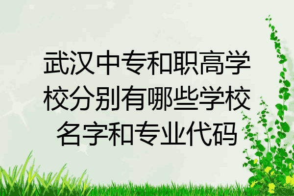武汉中专和职高学校分别有哪些学校名字和专业代码