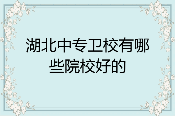 湖北中专卫校有哪些院校好的