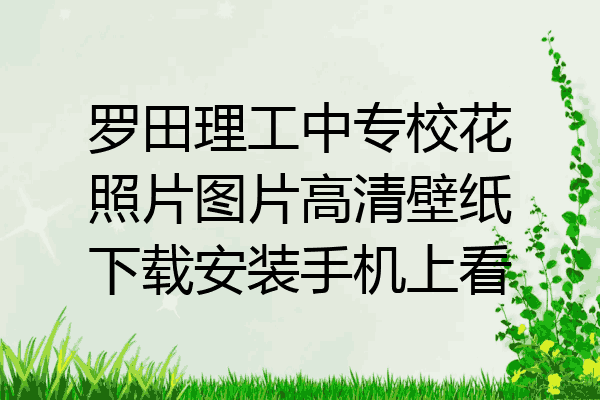 罗田理工中专校花照片图片高清壁纸下载安装手机上看