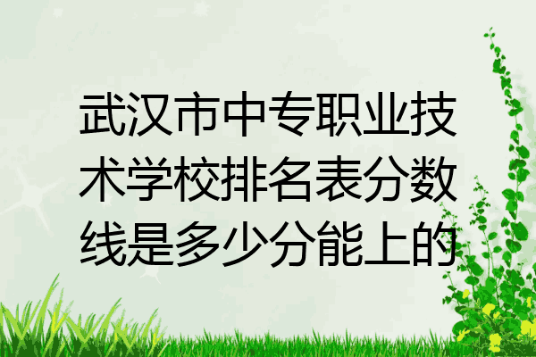 武汉市中专职业技术学校排名表分数线是多少分能上的