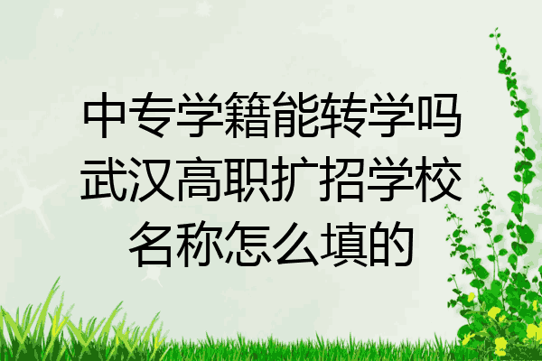 中专学籍能转学吗武汉高职扩招学校名称怎么填的