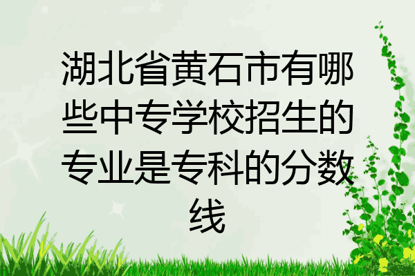 湖北省黄石市有哪些中专学校招生的专业是专科的分数线