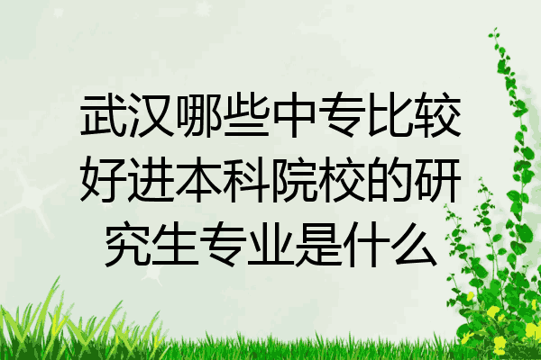 武汉哪些中专比较好进本科院校的研究生专业是什么