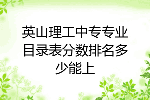 英山理工中专专业目录表分数排名多少能上