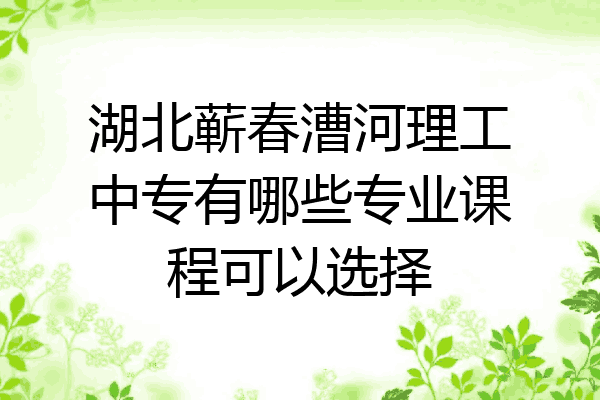 湖北蕲春漕河理工中专有哪些专业课程可以选择
