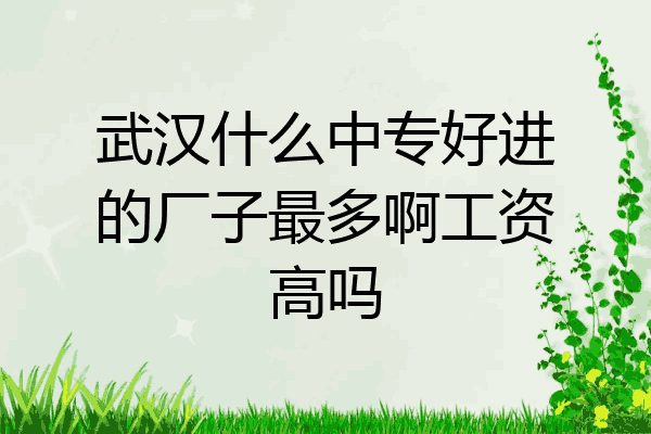 武汉什么中专好进的厂子最多啊工资高吗