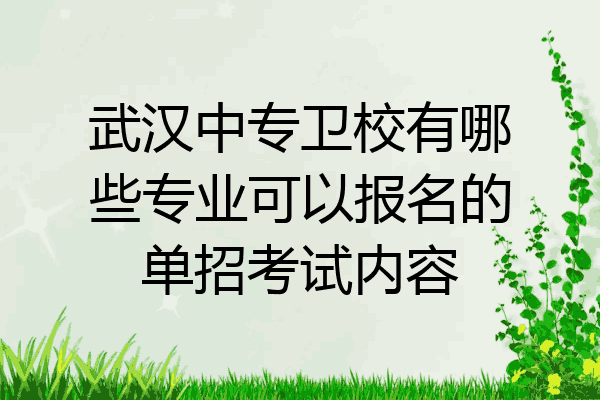武汉中专卫校有哪些专业可以报名的单招考试内容