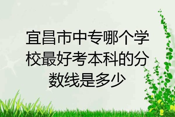 宜昌市中专哪个学校最好考本科的分数线是多少