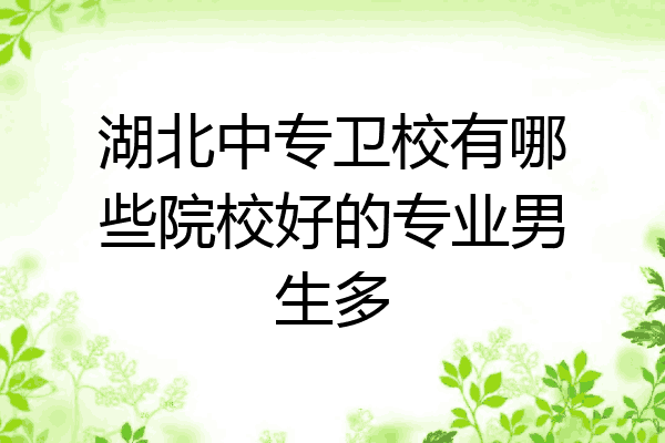 湖北中专卫校有哪些院校好的专业男生多
