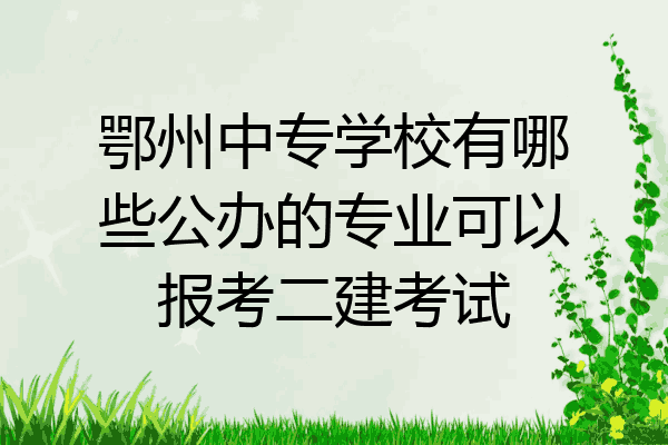 鄂州中专学校有哪些公办的专业可以报考二建考试