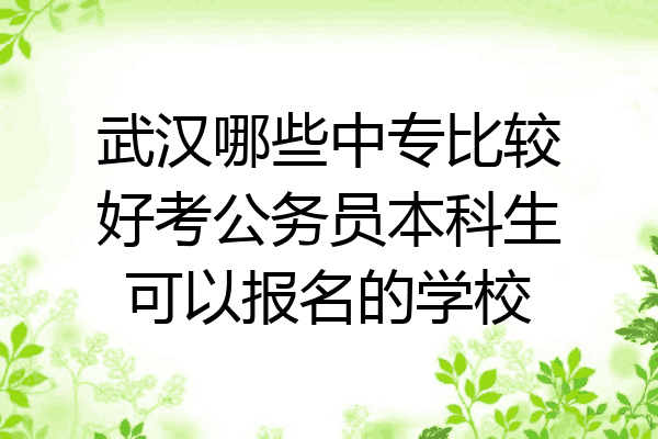 武汉哪些中专比较好考公务员本科生可以报名的学校