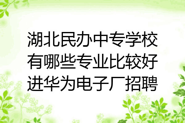 湖北民办中专学校有哪些专业比较好进华为电子厂招聘