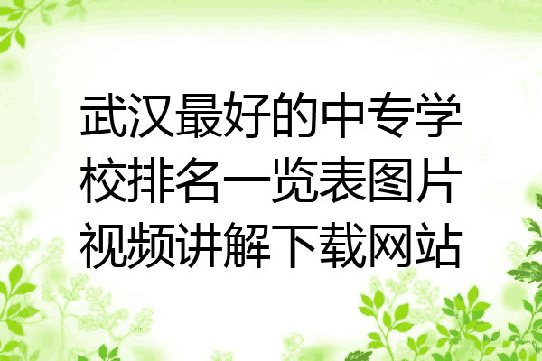 武汉最好的中专学校排名一览表图片视频讲解下载网站