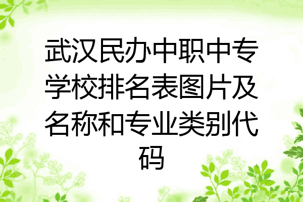 武汉民办中职中专学校排名表图片及名称和专业类别代码