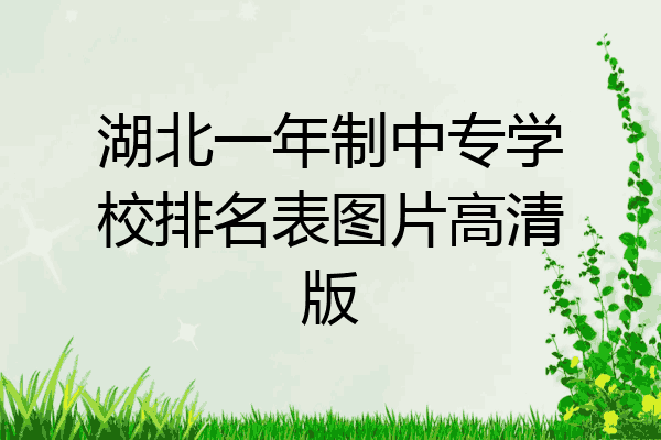 湖北一年制中专学校排名表图片高清版
