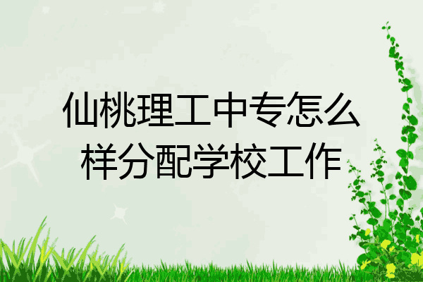 仙桃理工中专怎么样分配学校工作