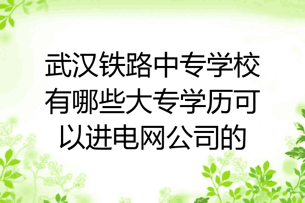 武汉铁路中专学校有哪些大专学历可以进电网公司的