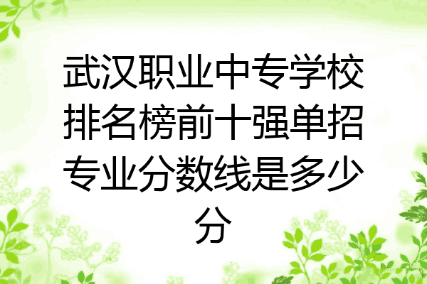 武汉职业中专学校排名榜前十强单招专业分数线是多少分