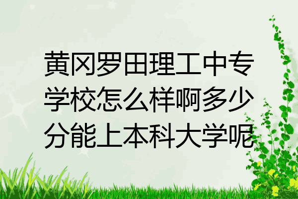 黄冈罗田理工中专学校怎么样啊多少分能上本科大学呢