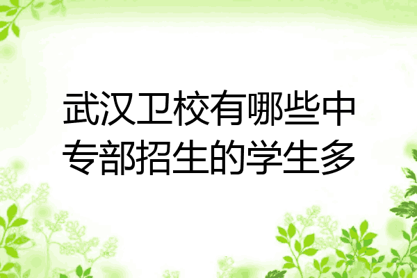 武汉卫校有哪些中专部招生的学生多